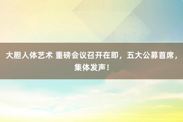 大胆人体艺术 重磅会议召开在即，五大公募首席，集体发声！