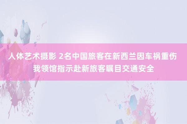 人体艺术摄影 2名中国旅客在新西兰因车祸重伤 我领馆指示赴新旅客瞩目交通安全