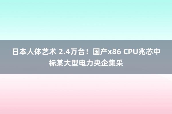 日本人体艺术 2.4万台！国产x86 CPU兆芯中标某大型电力央企集采