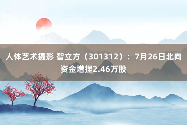 人体艺术摄影 智立方（301312）：7月26日北向资金增捏2.46万股