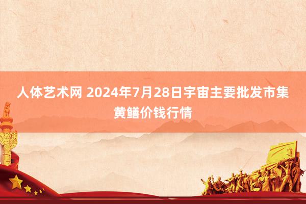 人体艺术网 2024年7月28日宇宙主要批发市集黄鳝价钱行情