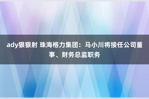 ady狠狠射 珠海格力集团：马小川将接任公司董事、财务总监职务