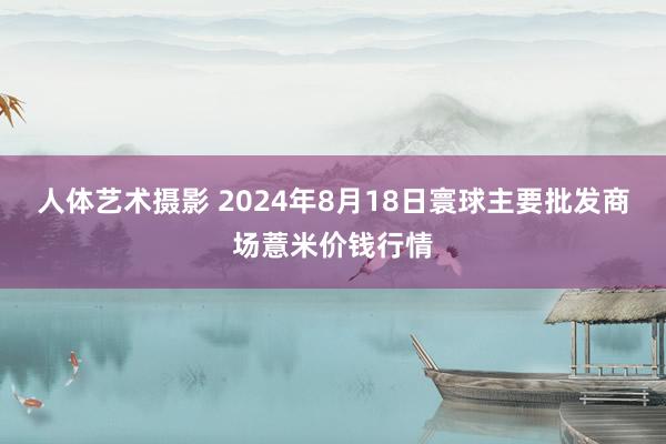 人体艺术摄影 2024年8月18日寰球主要批发商场薏米价钱行情