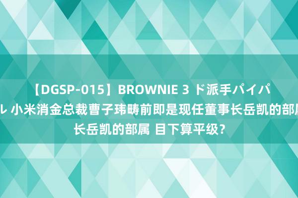 【DGSP-015】BROWNIE 3 ド派手パイパン強め黒ギャル ﻿小米消金总裁曹子玮畴前即是现任董事长岳凯的部属 目下算平级？