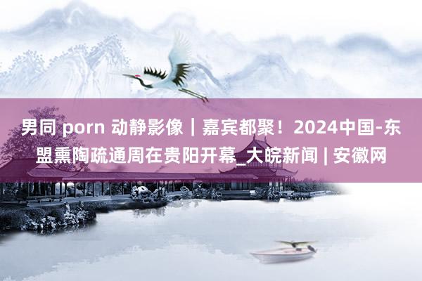 男同 porn 动静影像｜嘉宾都聚！2024中国-东盟熏陶疏通周在贵阳开幕_大皖新闻 | 安徽网