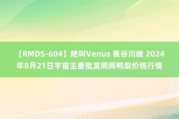 【RMDS-604】絶叫Venus 長谷川綾 2024年8月21日宇宙主要批发阛阓鸭梨价钱行情