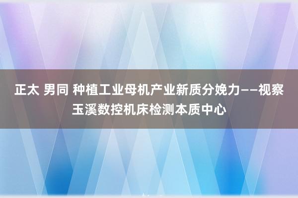 正太 男同 种植工业母机产业新质分娩力——视察玉溪数控机床检测本质中心