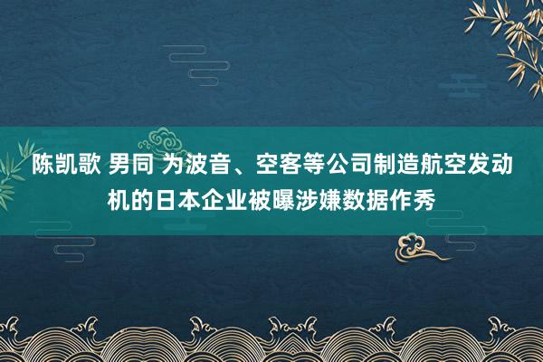 陈凯歌 男同 为波音、空客等公司制造航空发动机的日本企业被曝涉嫌数据作秀